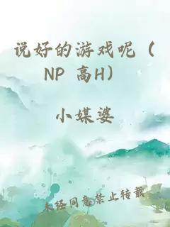 说好的游戏呢（NP 高H）