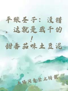 平账圣子：没错，这就是我干的！